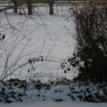 Charmehotel De stokerij te Oudenburg, West-Vlaanderen - Overnachten nabij Brugge, Oostende en De Haan